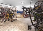 _DSC7146